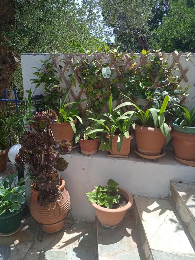 To Limanaki Διαμέρισμα Φοινικούντα Εξωτερικό φωτογραφία